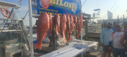 Blasting Red Snapper n Biloxi!